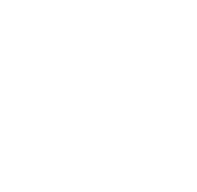 Logo STT